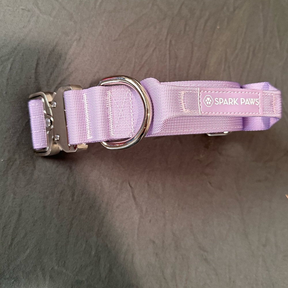 Purple Spark paws dog collar